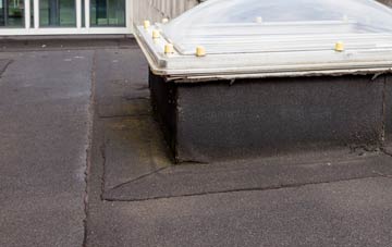disadvantages of Collingbourne Ducis flat roofs