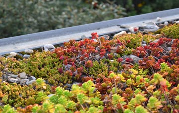 the cost of Collingbourne Ducis green roof installation