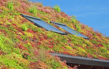 Collingbourne Ducis living roof systems