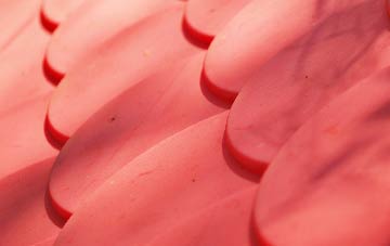 Collingbourne Ducis plastic roof costs