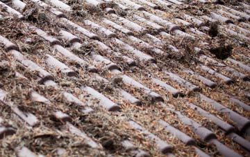 Collingbourne Ducis roof cleaning companies